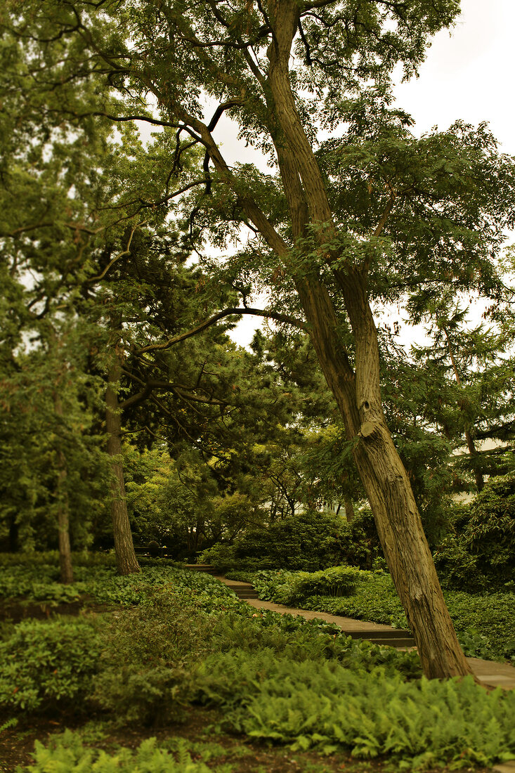 View of trees and plants in Planten un Blomen, Hamburg, Germany