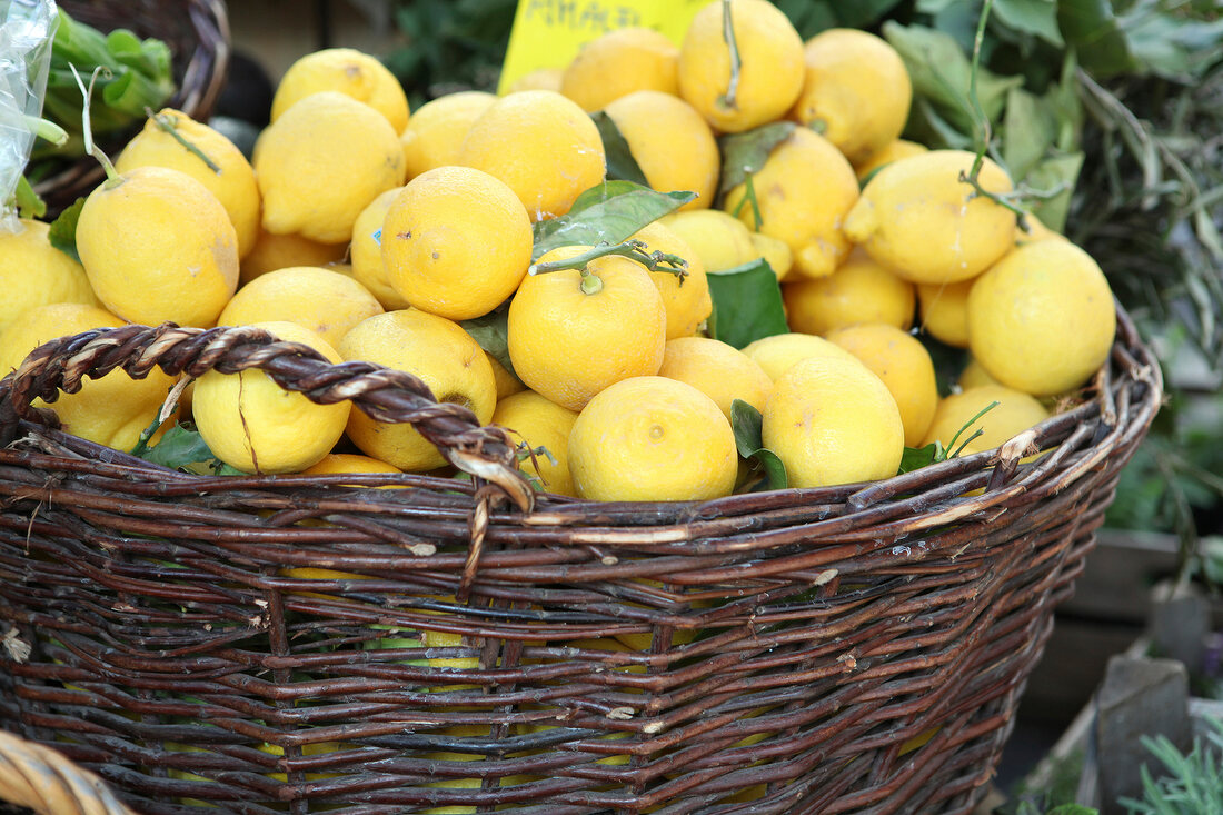 auf dem Markt, Korb mit Zitronen 