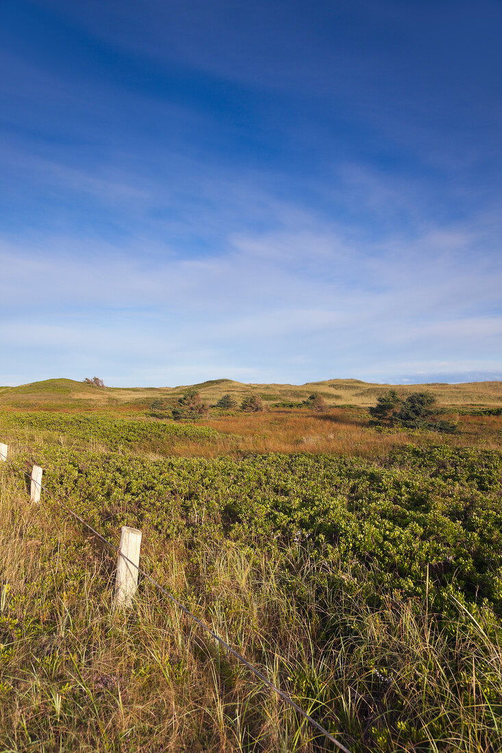 View of Brackley-Dalvay, Prince Edward island National park, Canada