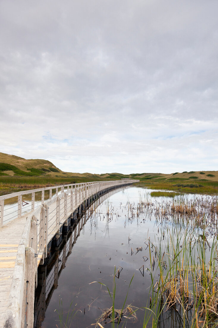 Sand dunes and wooden bridge in Greenwich,  Prince Edward Island National Park, Canada