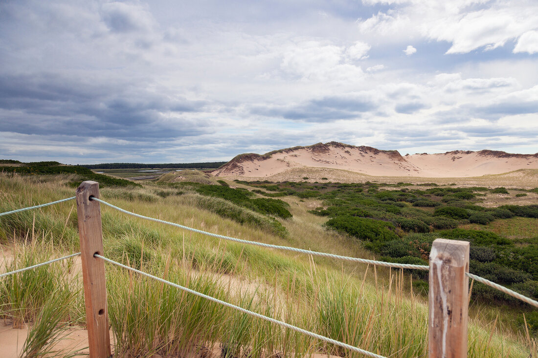 Close-up of sand dunes with wire fence in Prince Edward Island National Park, Canada