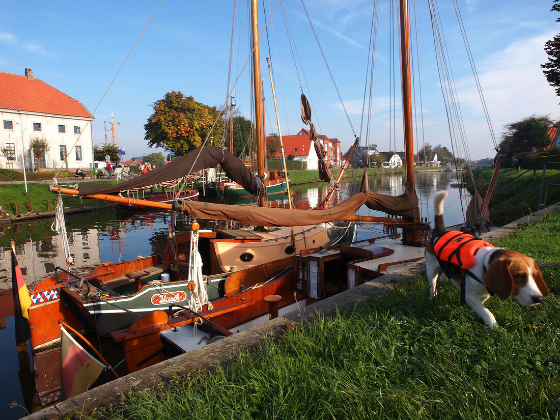 Boats moored in port of Carolinensiel, Spiekeroog, Lower Saxony, Germany