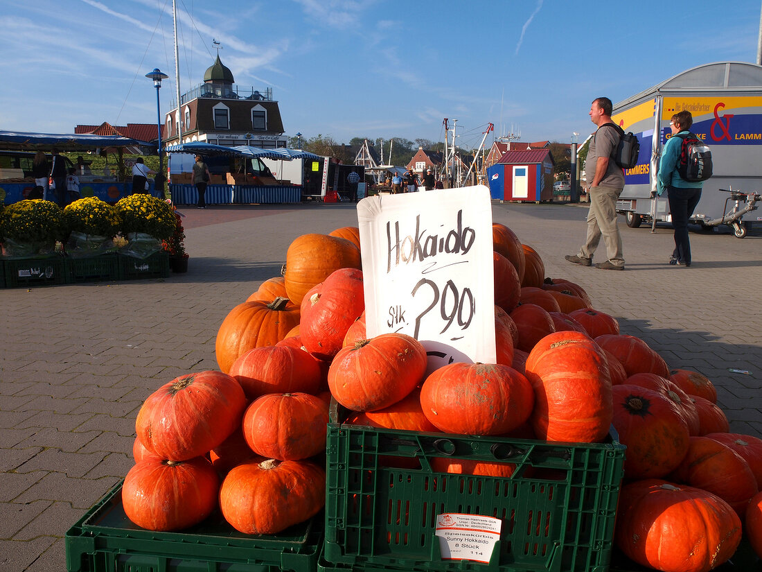 Market stall with pumpkins, Spiekeroog, Neuharlingersiel