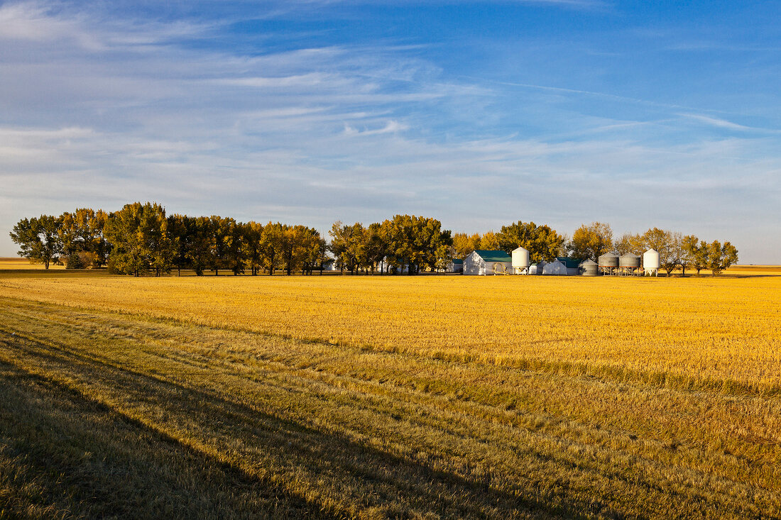 View of field and grain storage on Highway 6 South, Saskatchewan, Canada