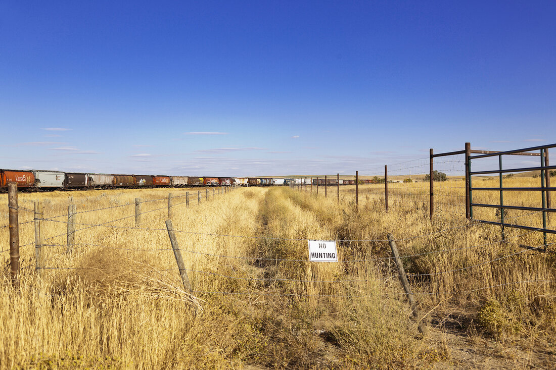 View of train through dried field at Highway 1 west to Alberta, Saskatchewan, Canada 