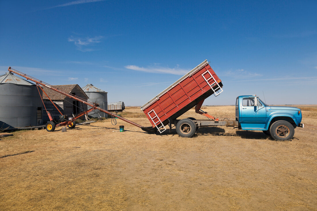 View of truck discharging wheat in ranch on highway 6 South, Saskatchewan, Canada