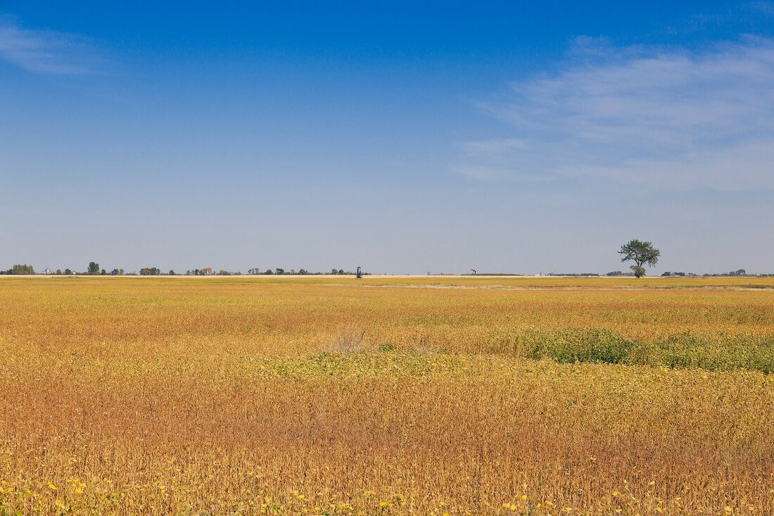 View of fields on highway 35 North, Saskatchewan, Canada