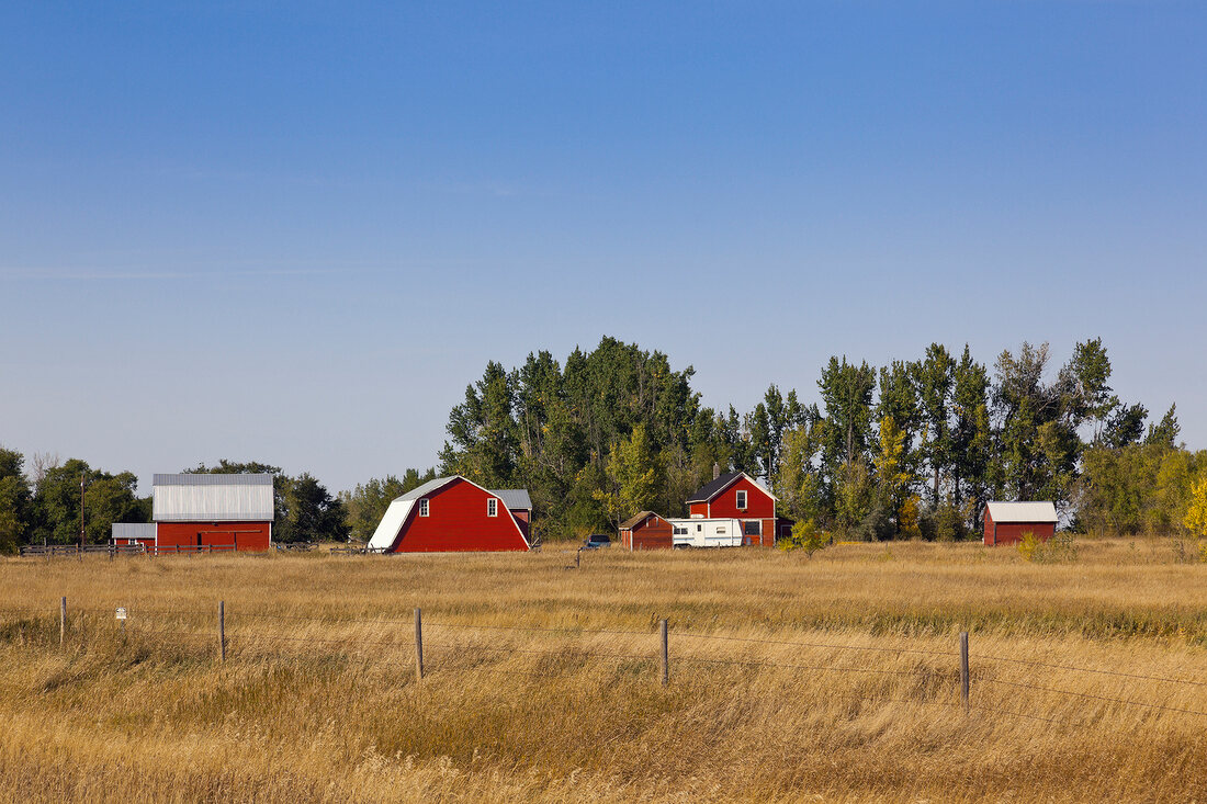 View of houses and field on highway 35, Saskatchewan, Canada
