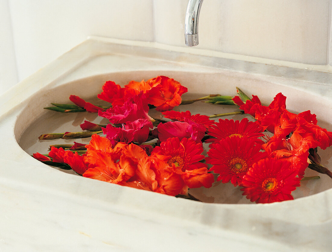 Vasenspaß, Gerbera und Lilien im Waschbecken, orange, rot