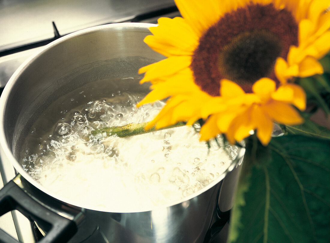 Vasenspaß, Sonnenblumen kochen, Stängel abkochen