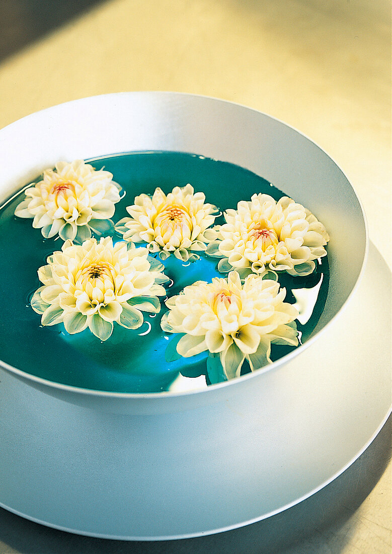 Vase fun, dahlias in white, white floating in water