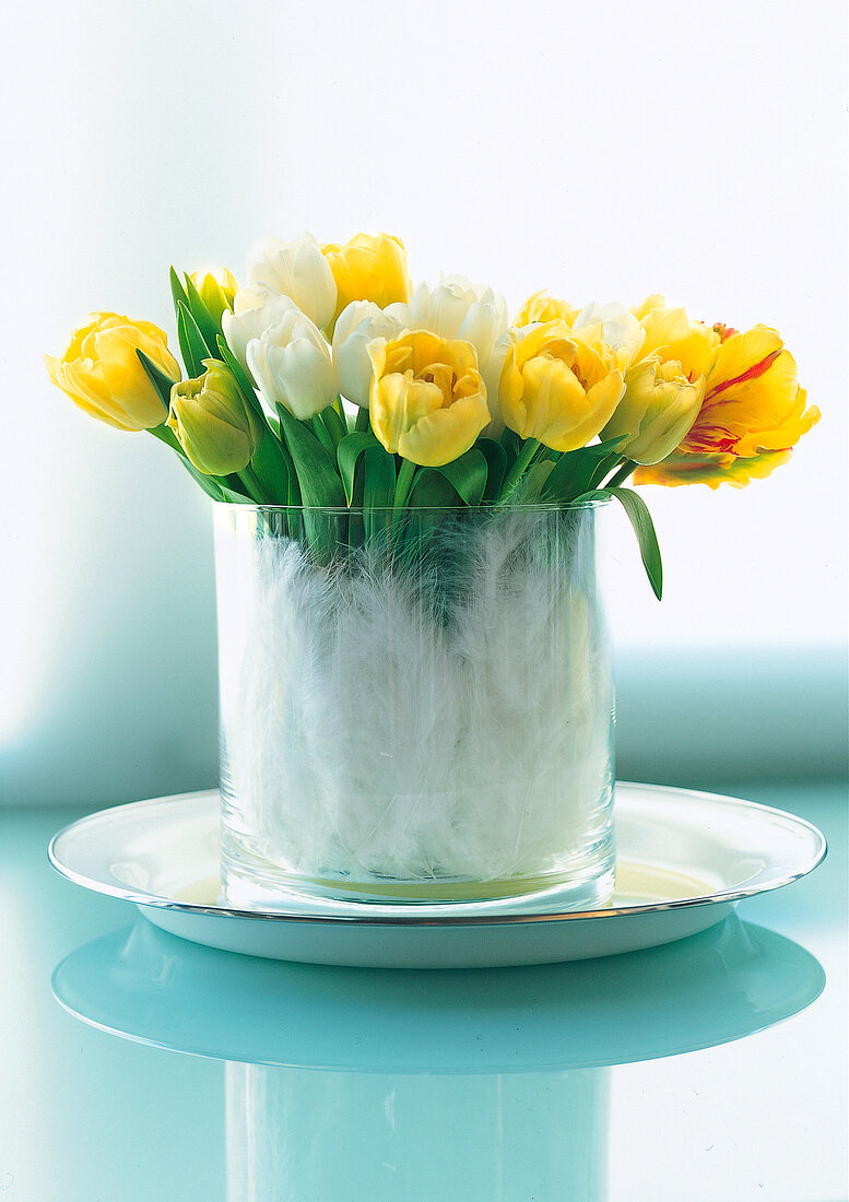 Fun in vases, tulips in yellow and white stand in glass vase with feathers