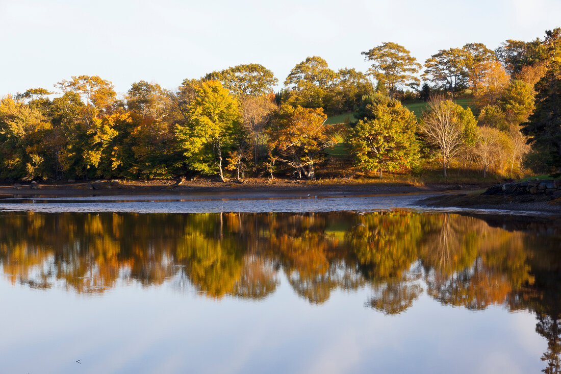 View of autumn forest and water at dusk in Lunenburg, Nova Scotia, Canada