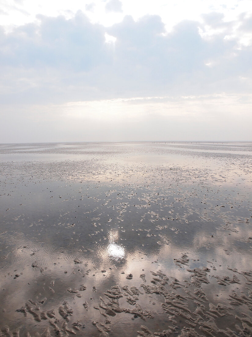 View of mudflats at Wadden Sea of Spiekeroog, Lower Saxony, Germany