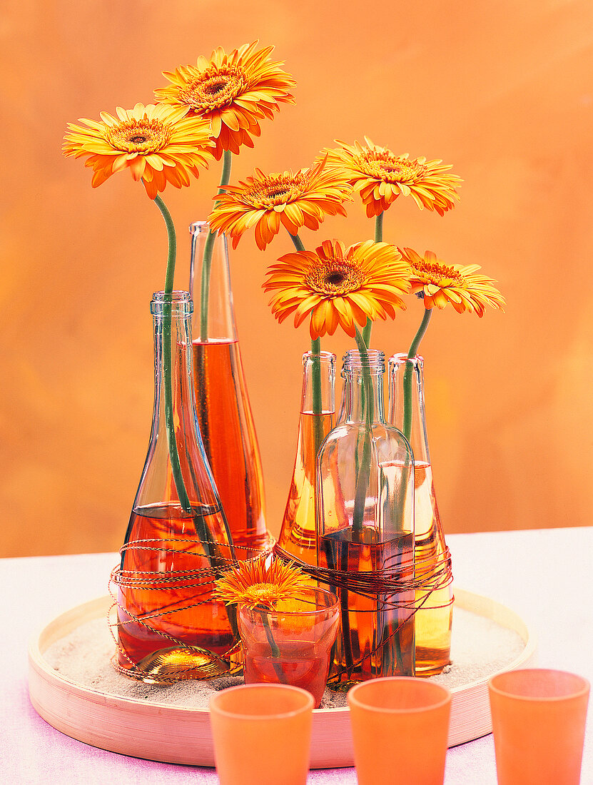Vasenspaß, Gerberas, orange, in Flaschen, Dekoration