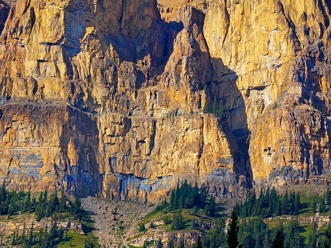 Kanada, Alberta, Banff National Park Castle Mountain, Detail
