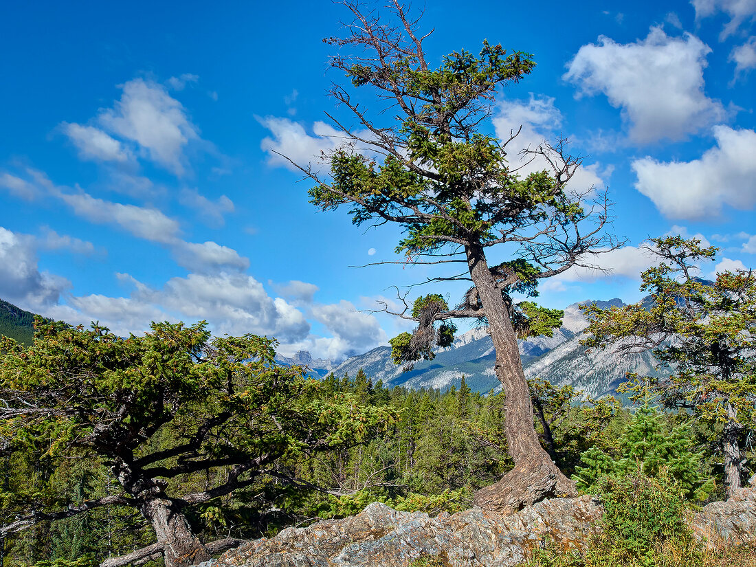 View of Bow River Valley in Banff National Park, Alberta, Canada