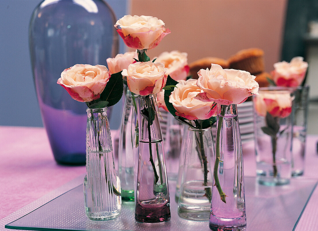 Vasenspaß, pink roses in small bottles, glass bottles