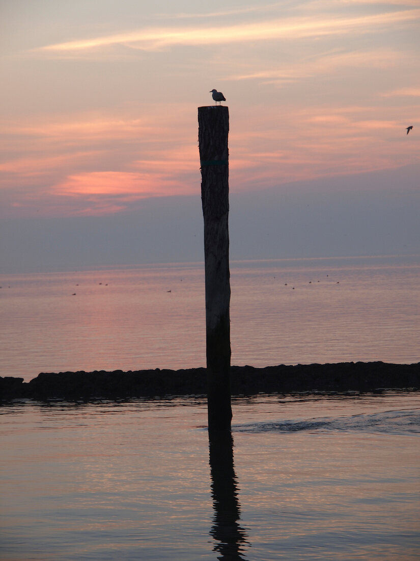 View of Wadden sea at dusk, Neuharlingersiel, Lower Saxony, Germany