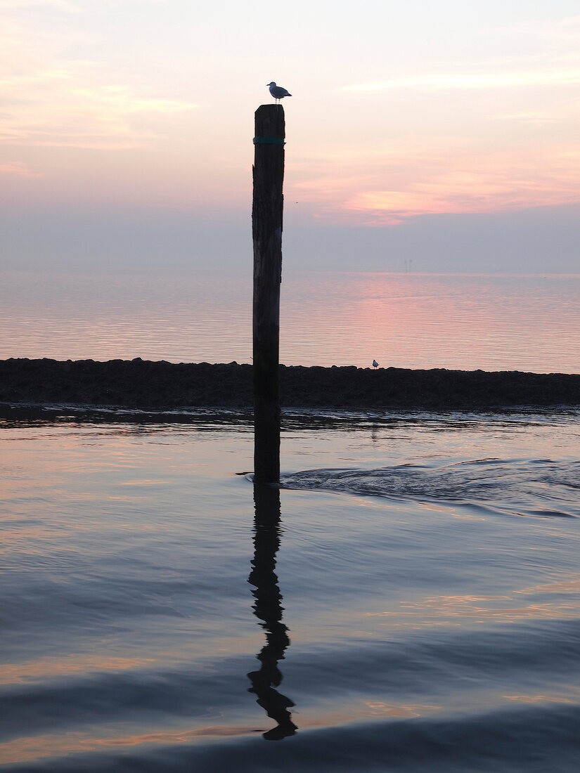 View of Wadden sea at dusk, Neuharlingersiel, Lower Saxony, Germany