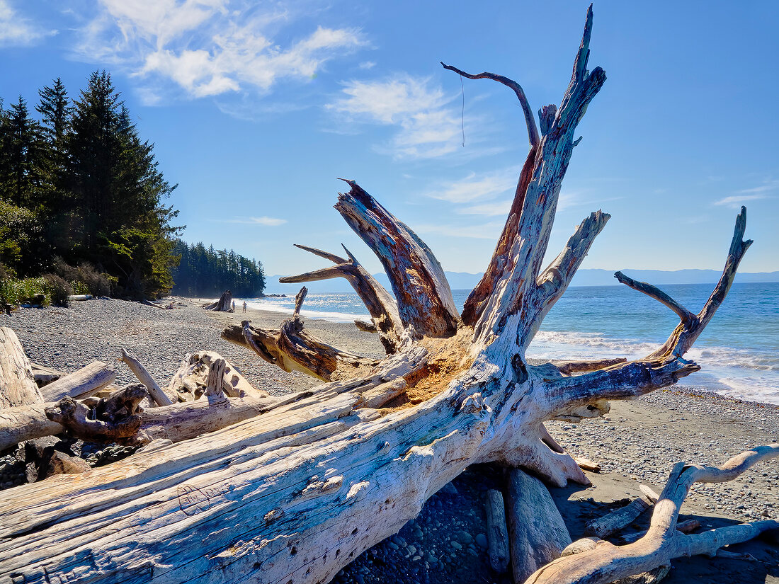 French Beach Provincial Park at Vancouver island, British Columbia, Canada