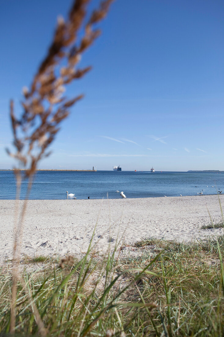 View of Ostsee in Priwall, Travemunde, Schleswig Holstein, Germany