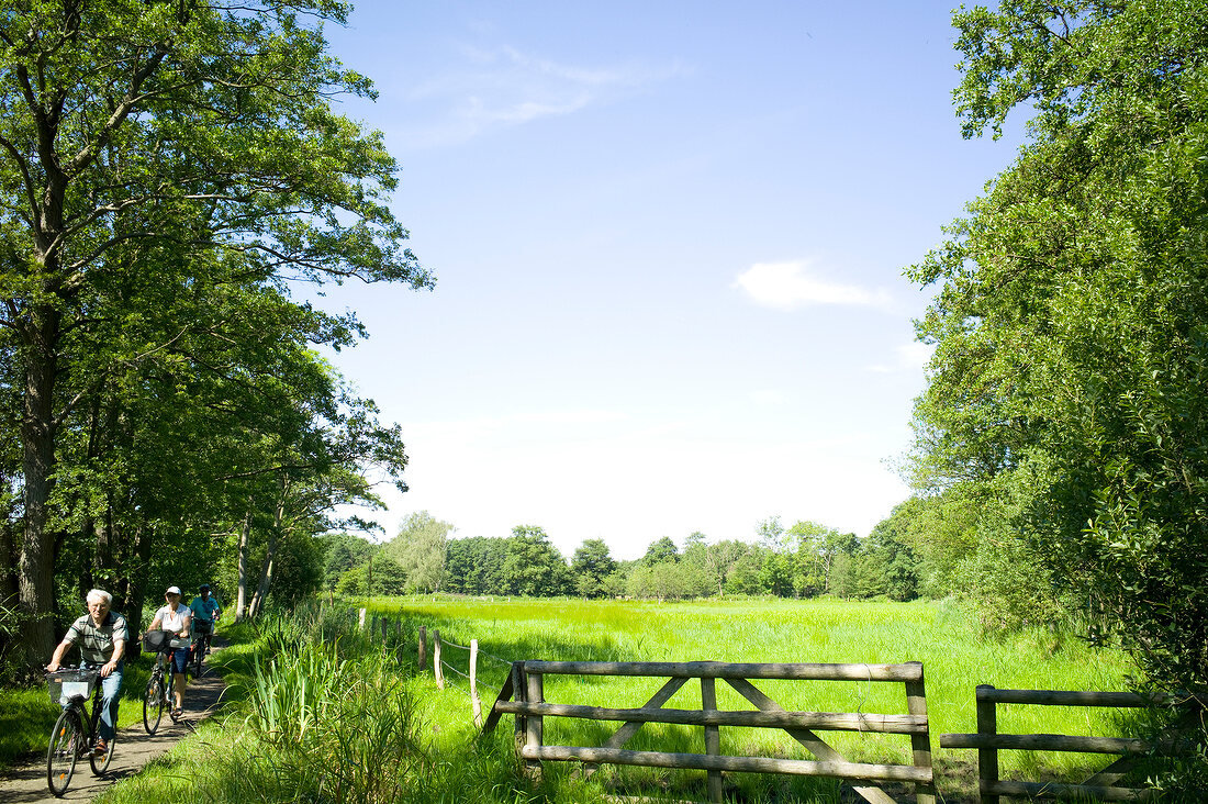 View of grass field and people cycling side the road at Aalbeek, Netherland