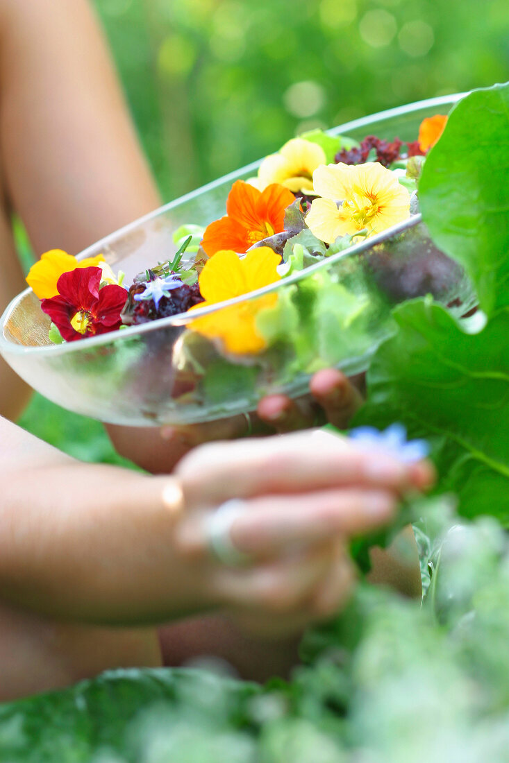 Woman reaping edible colourful flowers in herb garden, blurred