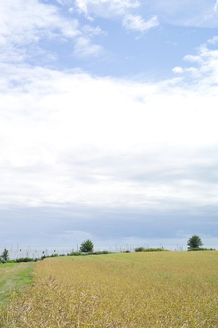 View of Baltic Sea in Schleswig Holstein, Germany