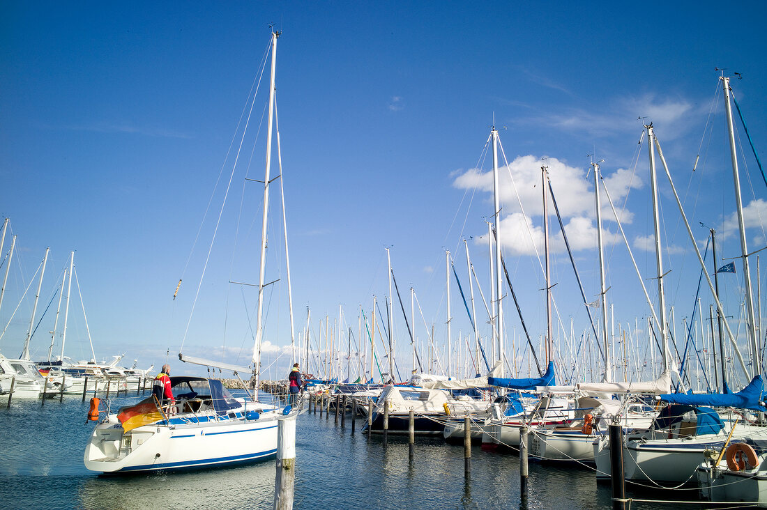 Sail boats standing in row, Gromitz harbour, Schleswig Holstein, Germany
