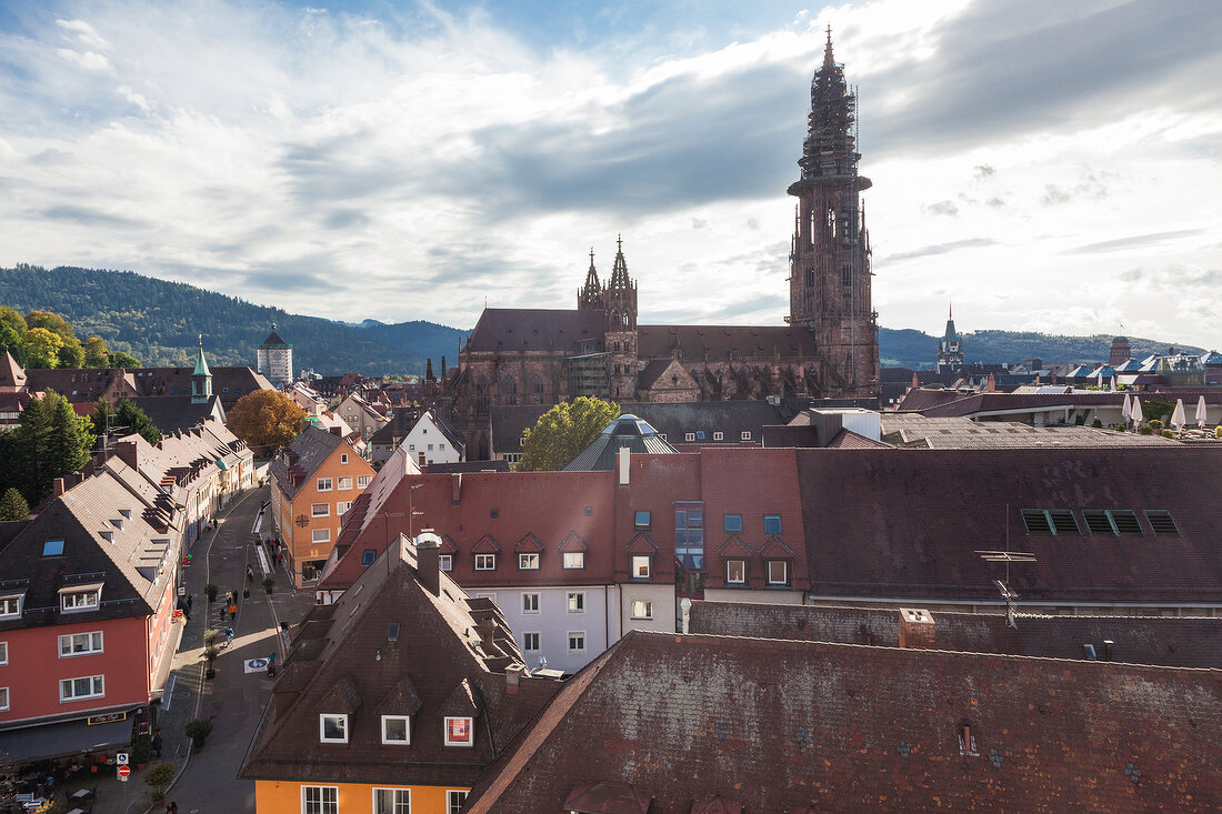 View of Freiburg im Breisgau, Baden Wurttemberg, Freiburg, Germany