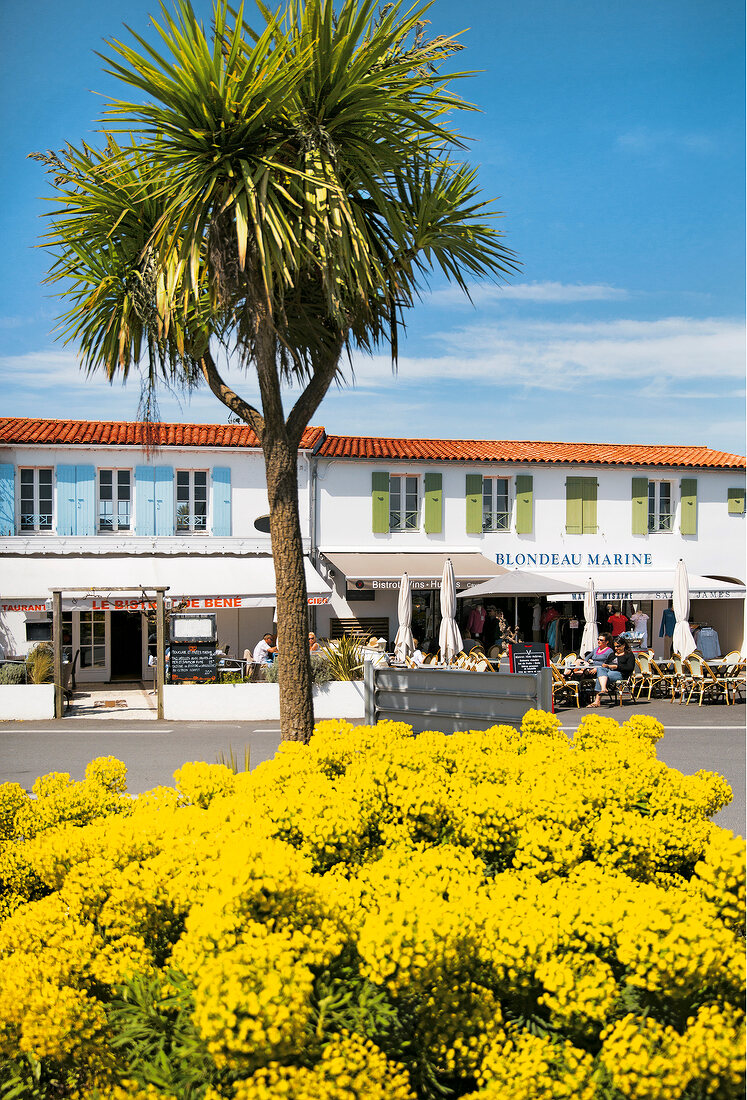 Insel Île de Ré, Stadt Ars-en-Ré, Hauptstraße, Café, Restaurant