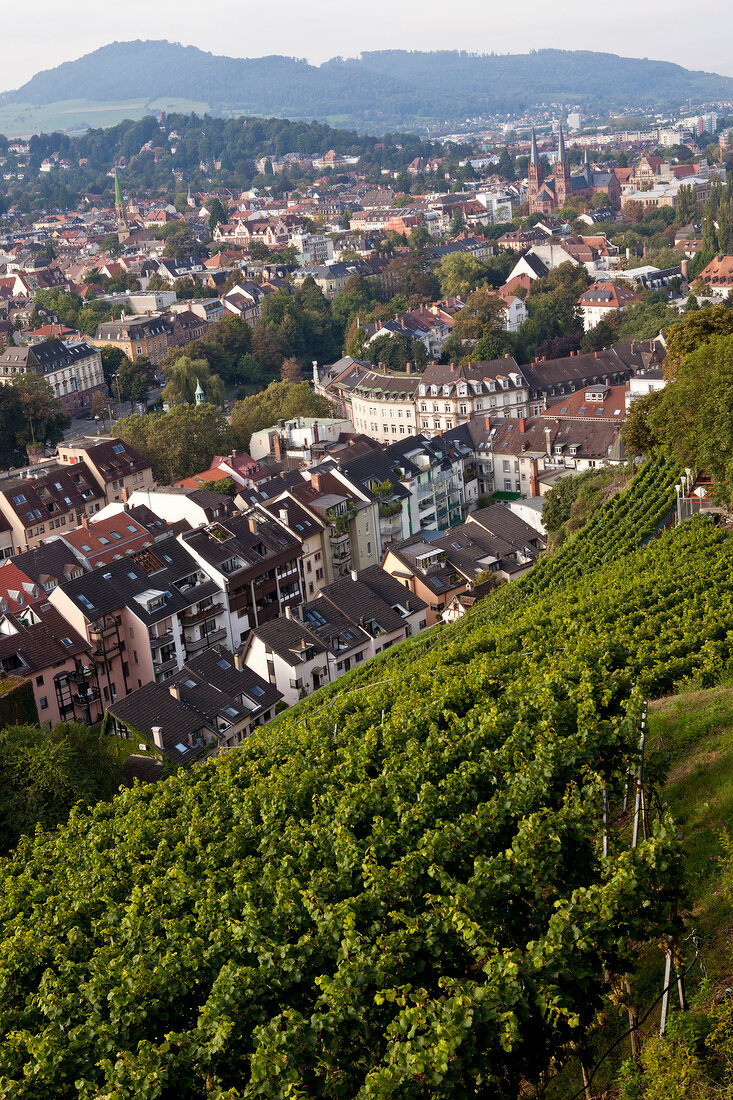 Freiburg, Ausblick vom Schloßberg 