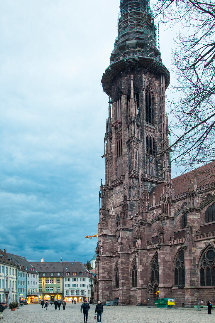 View of Freiburg Minster Cathedral, Freiburg, Germany