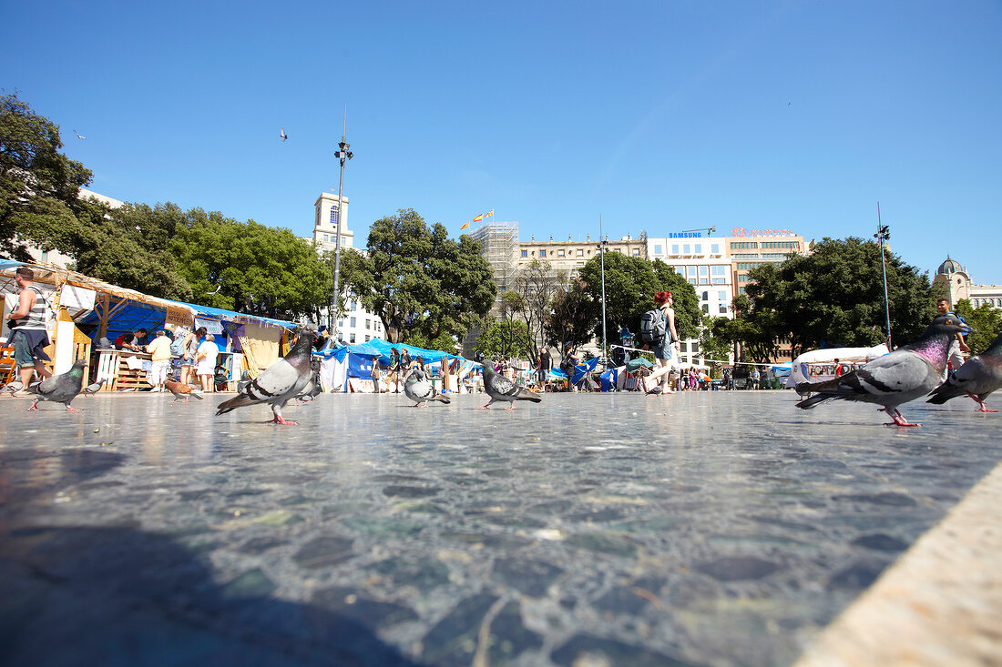 View of city centre square with pigeons and flea market at Barcelona, Spain, Surface level