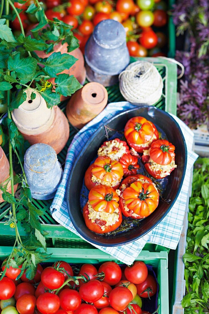 Stuffed tomatoes in a baking dish