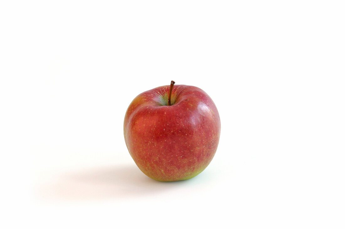 Apfelsorte Braeburn, Freisteller 