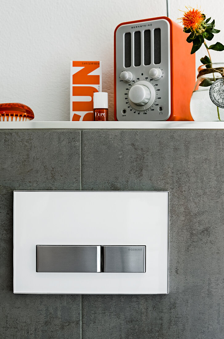 Close-up of water closet push plate on gray wall