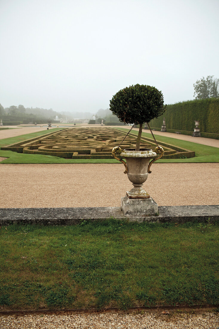 Hedge maze gardening art, Champ de Bataille, France
