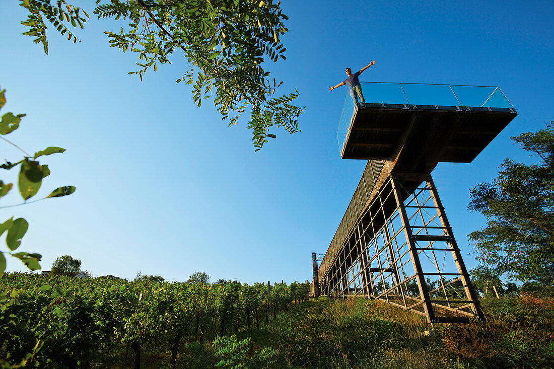 Winemaker Markus Faulhammer on observation deck overlooking wine