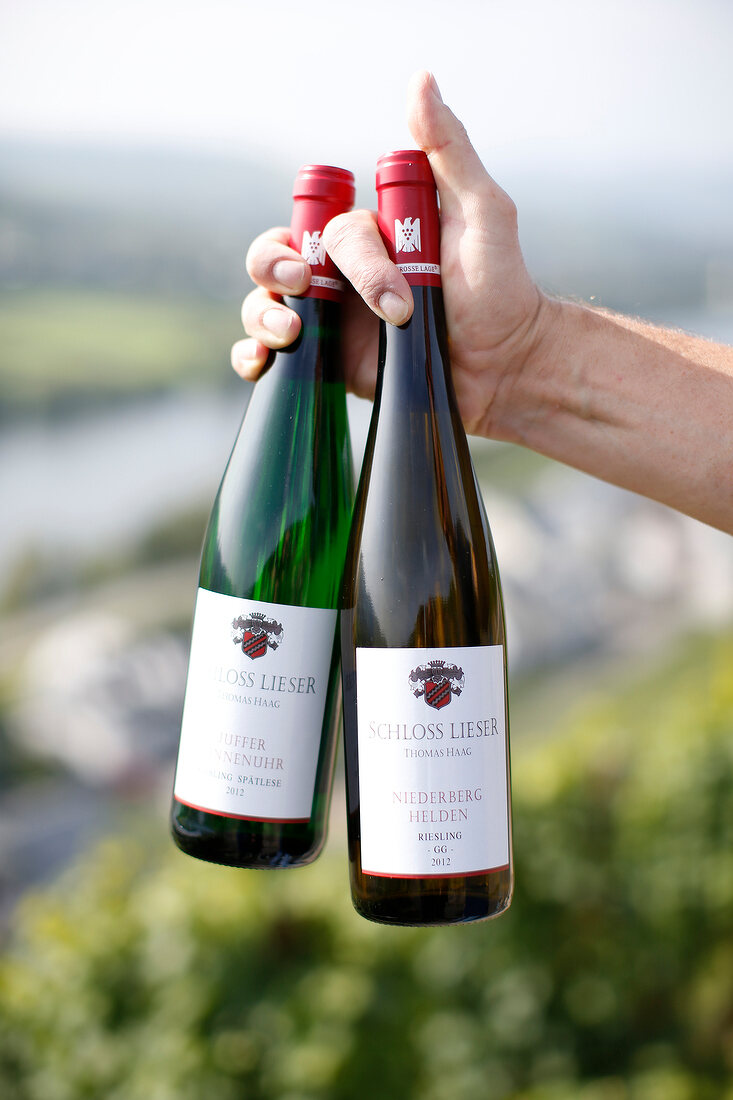 Schloss Lieser Weingut Mosel