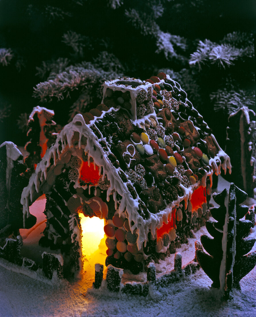 Colourful decorated house and trees made from gingerbread