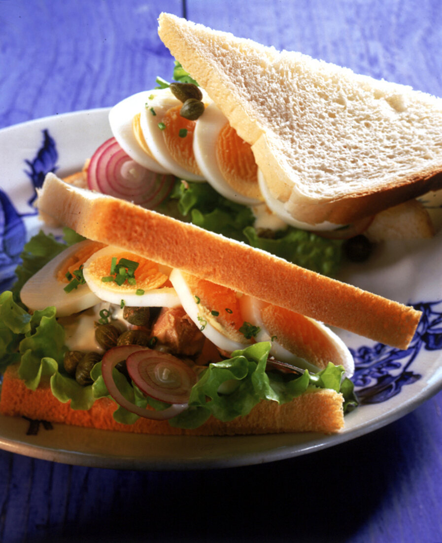 Eier-Thunfisch-Sandwich 