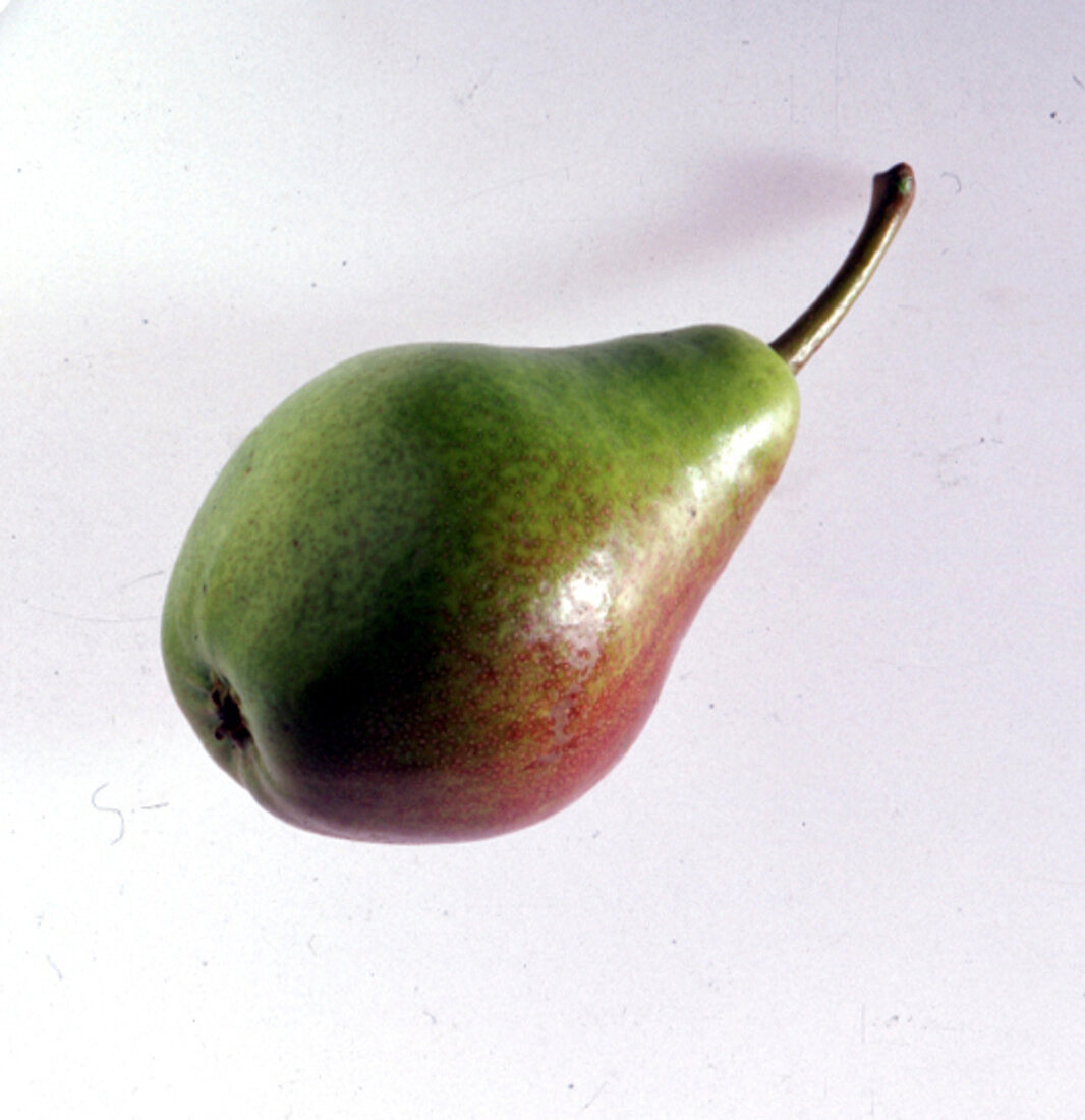 Einzelne grün-braune Birne 