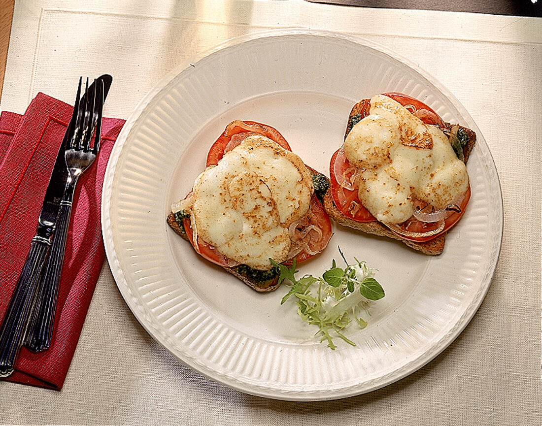 Trennkost (KH): Kaese-Toast mit Pesto und Tomate.