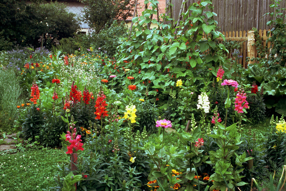 Buntes Blumen- und Gemüsebeet Wildgarten