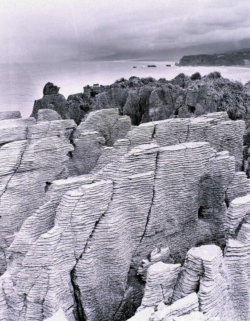 Bizarre Felsen: die Pancake Rocks im Paparoa Nationalpark