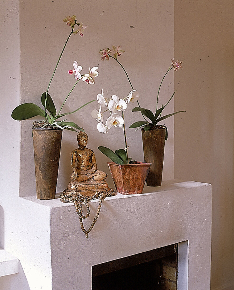 Drei blühende Orchideen stehen in Metalltöpfen auf dem Kamin