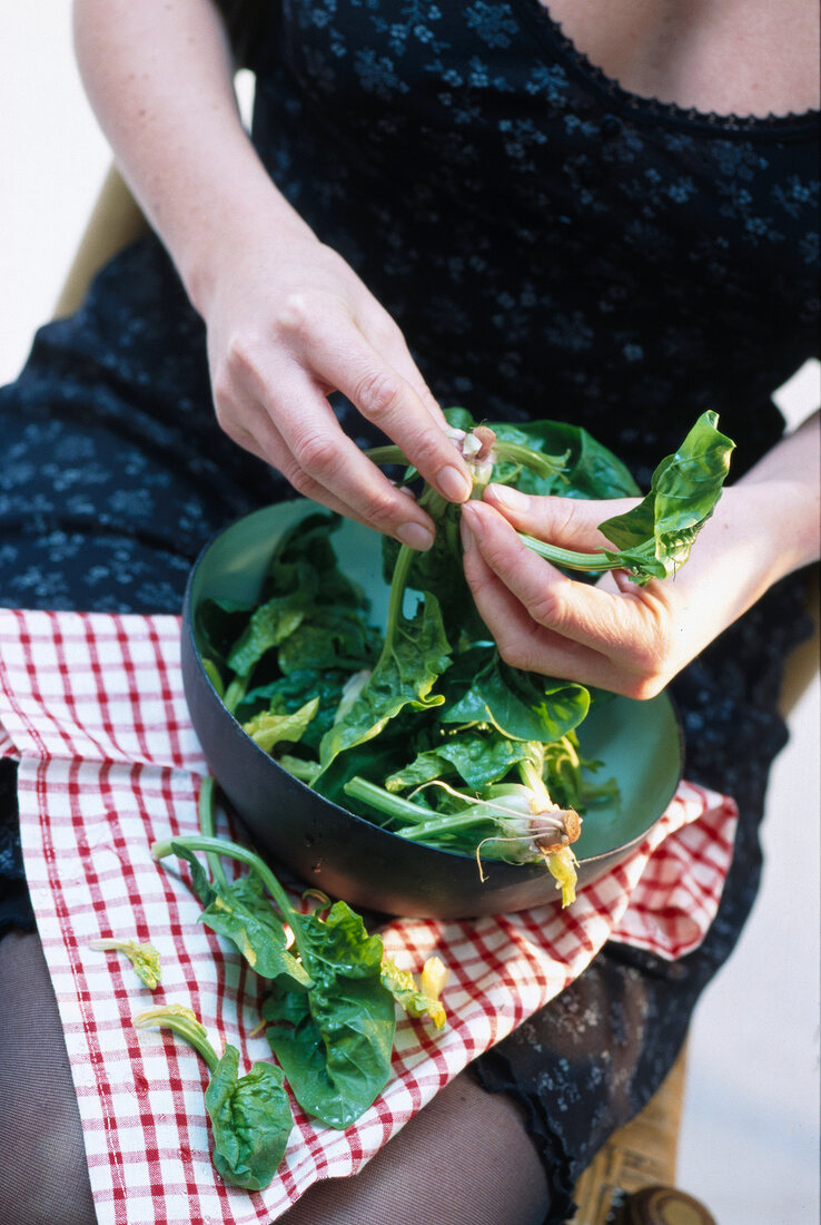 Woman plucking spinach leaves