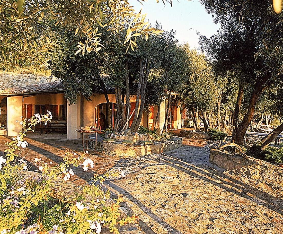 Italienischen Landvilla versteckt hinter Oliven- und Pinienbäumen